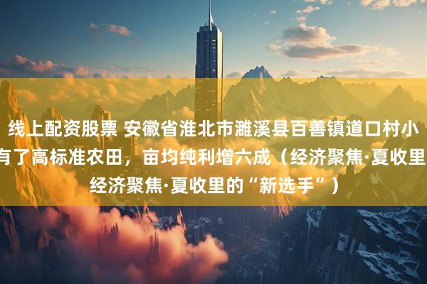 线上配资股票 安徽省淮北市濉溪县百善镇道口村小麦种植户—— 有了高标准农田，亩均纯利增六成（经济聚焦·夏收里的“新选手”）
