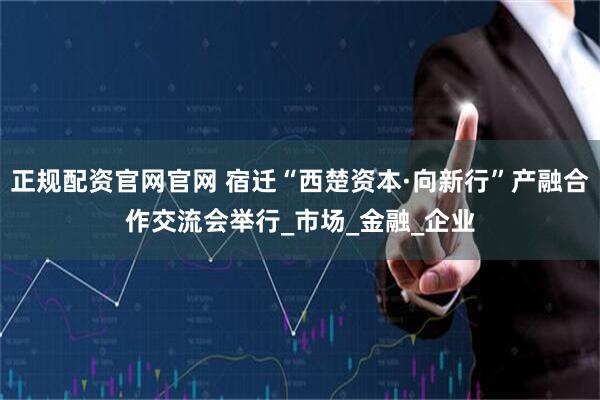 正规配资官网官网 宿迁“西楚资本·向新行”产融合作交流会举行_市场_金融_企业