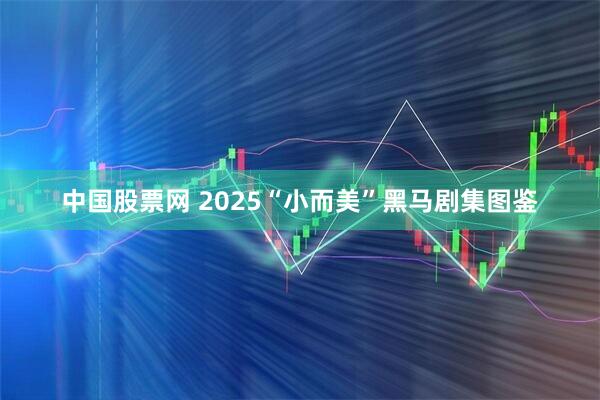 中国股票网 2025“小而美”黑马剧集图鉴